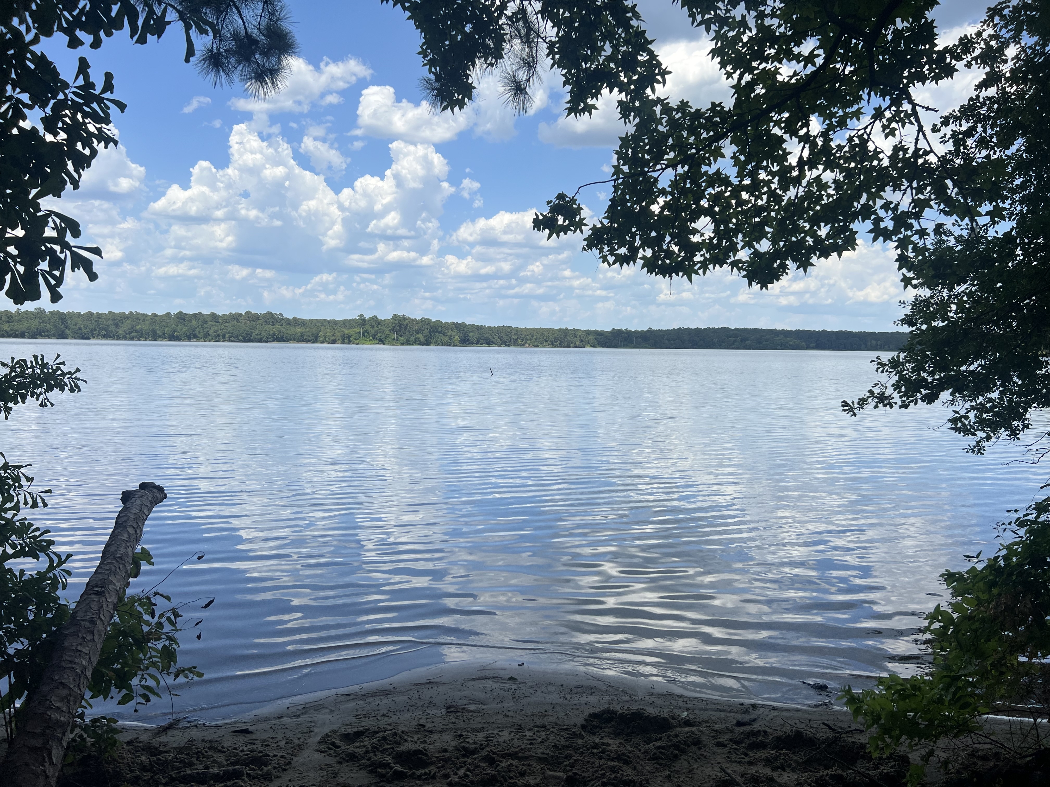 Camp at Kelly's Pond, Sam Houston National Forest