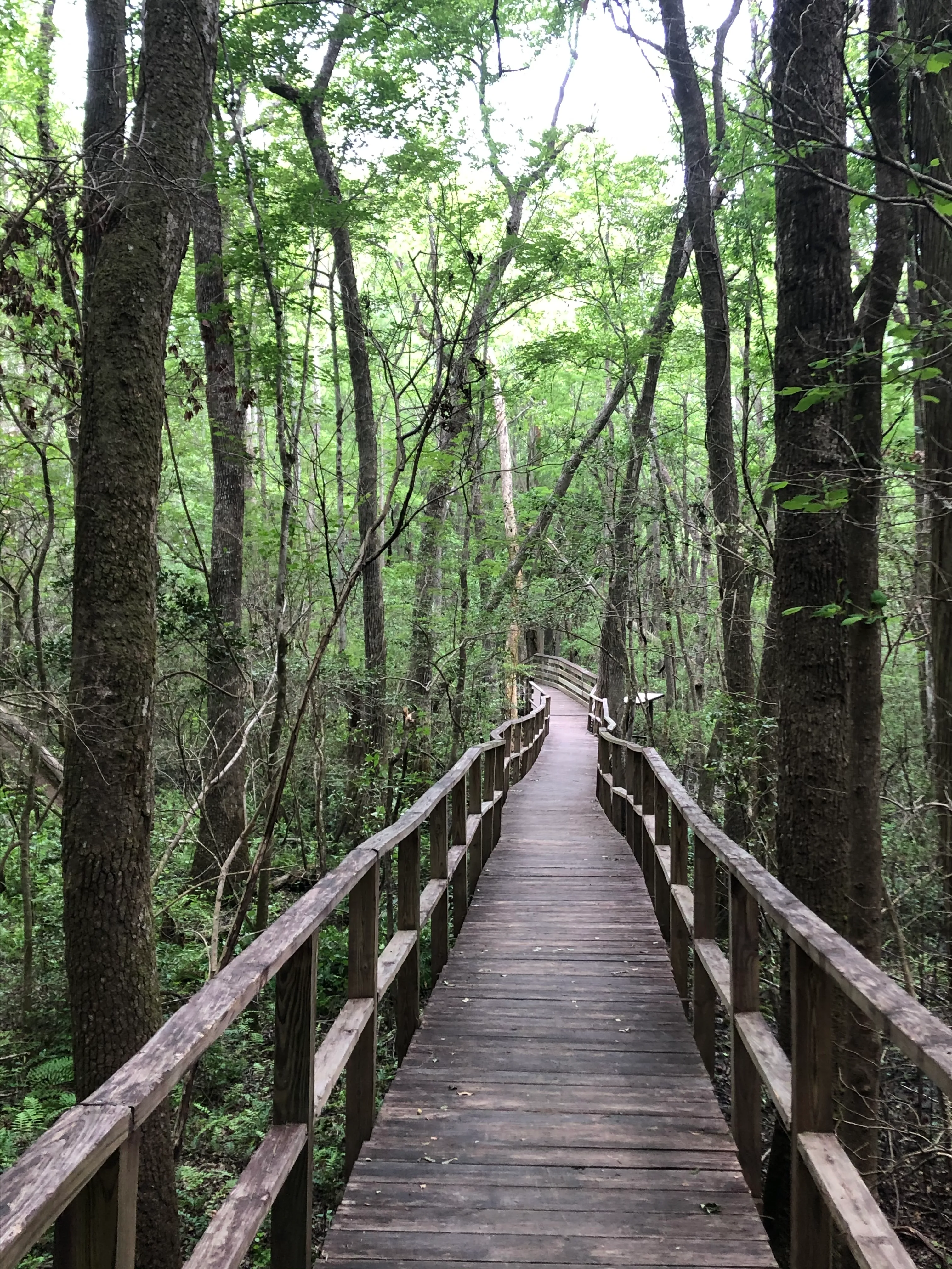 Kalmia Gardens
