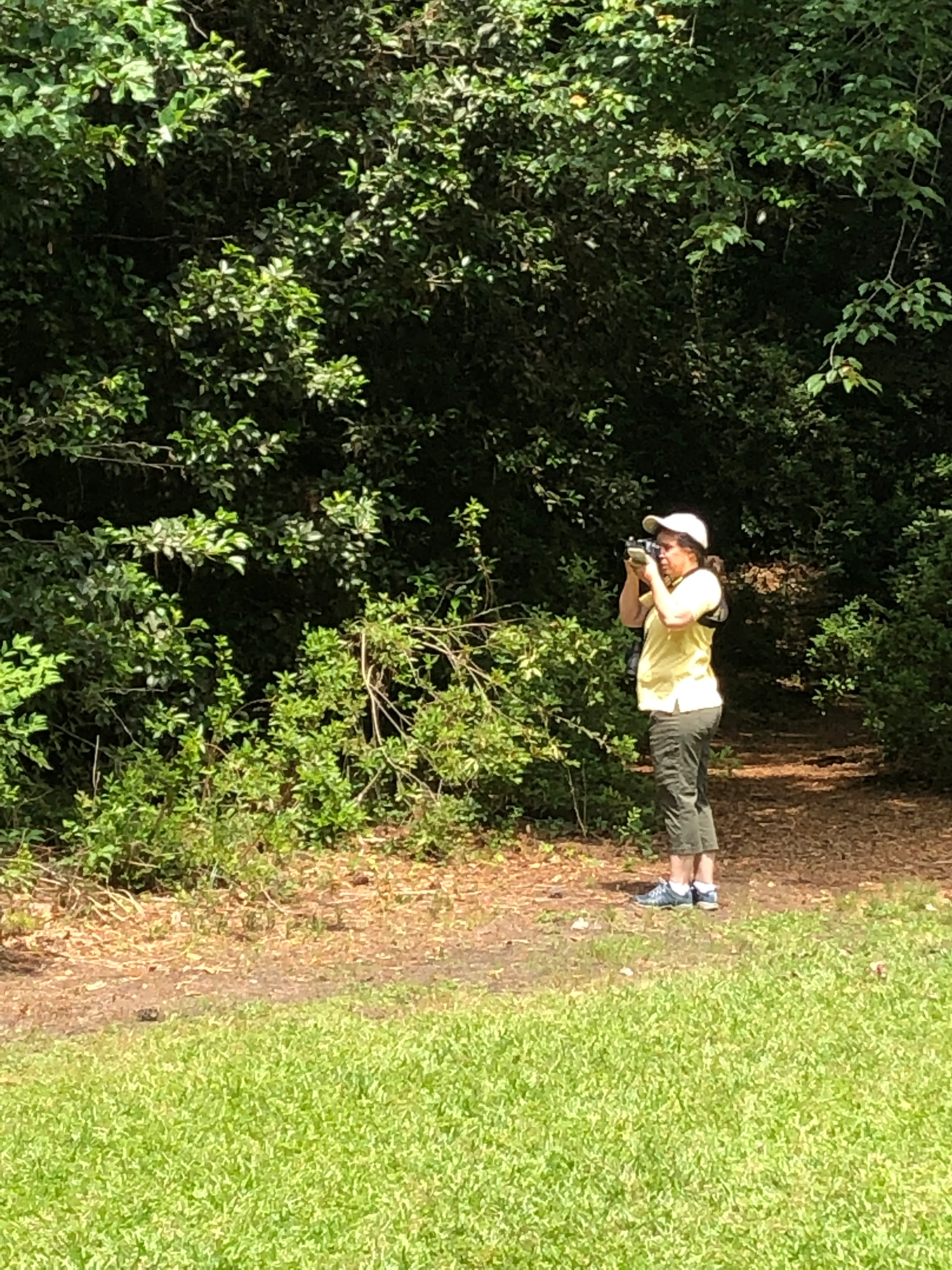 Kalmia Gardens
