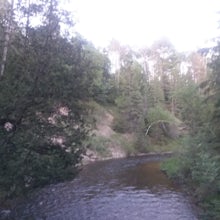 Agnes S. Andreae Nature Preserve Loop