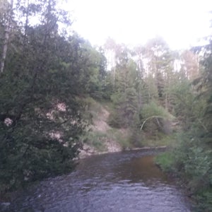 Agnes S. Andreae Nature Preserve Loop