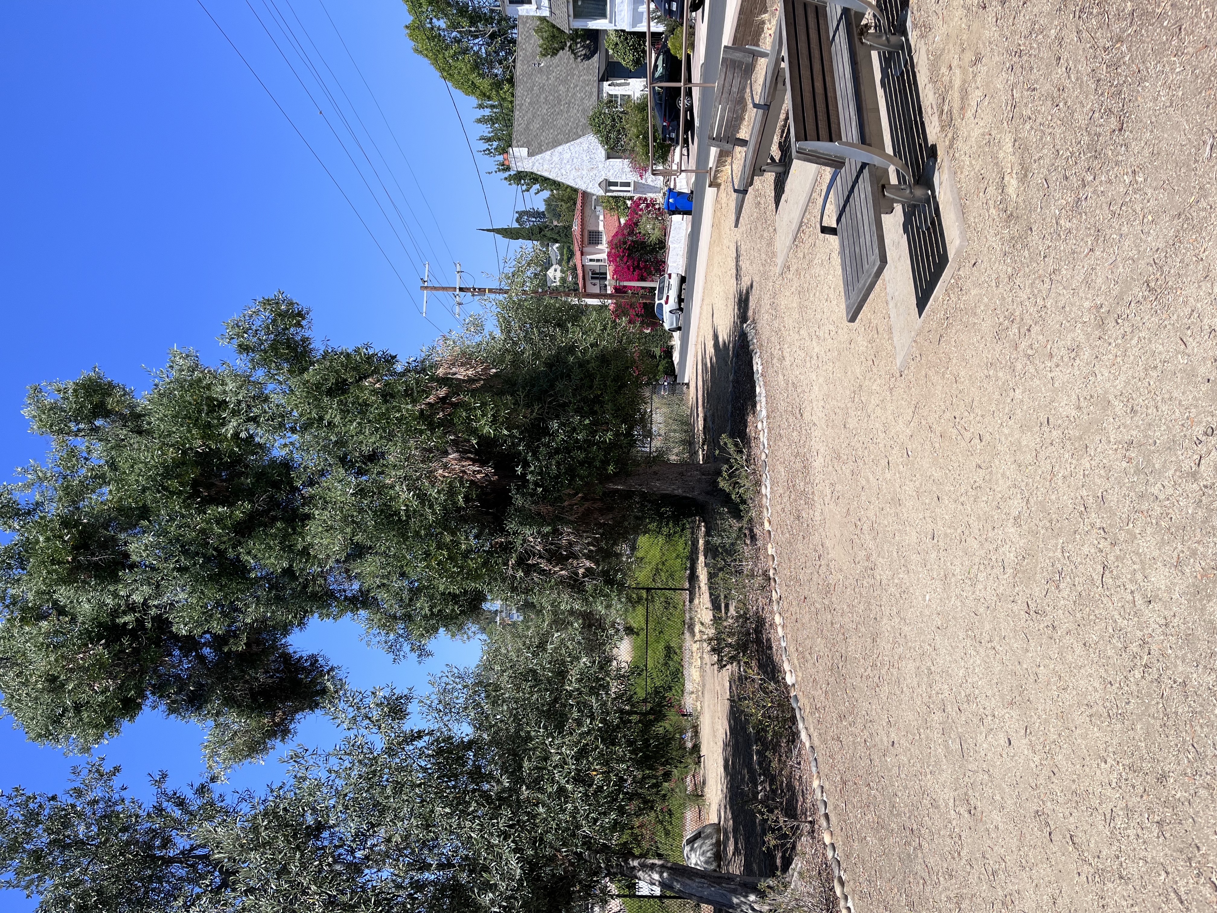 Silver Lake Reservoir Trail