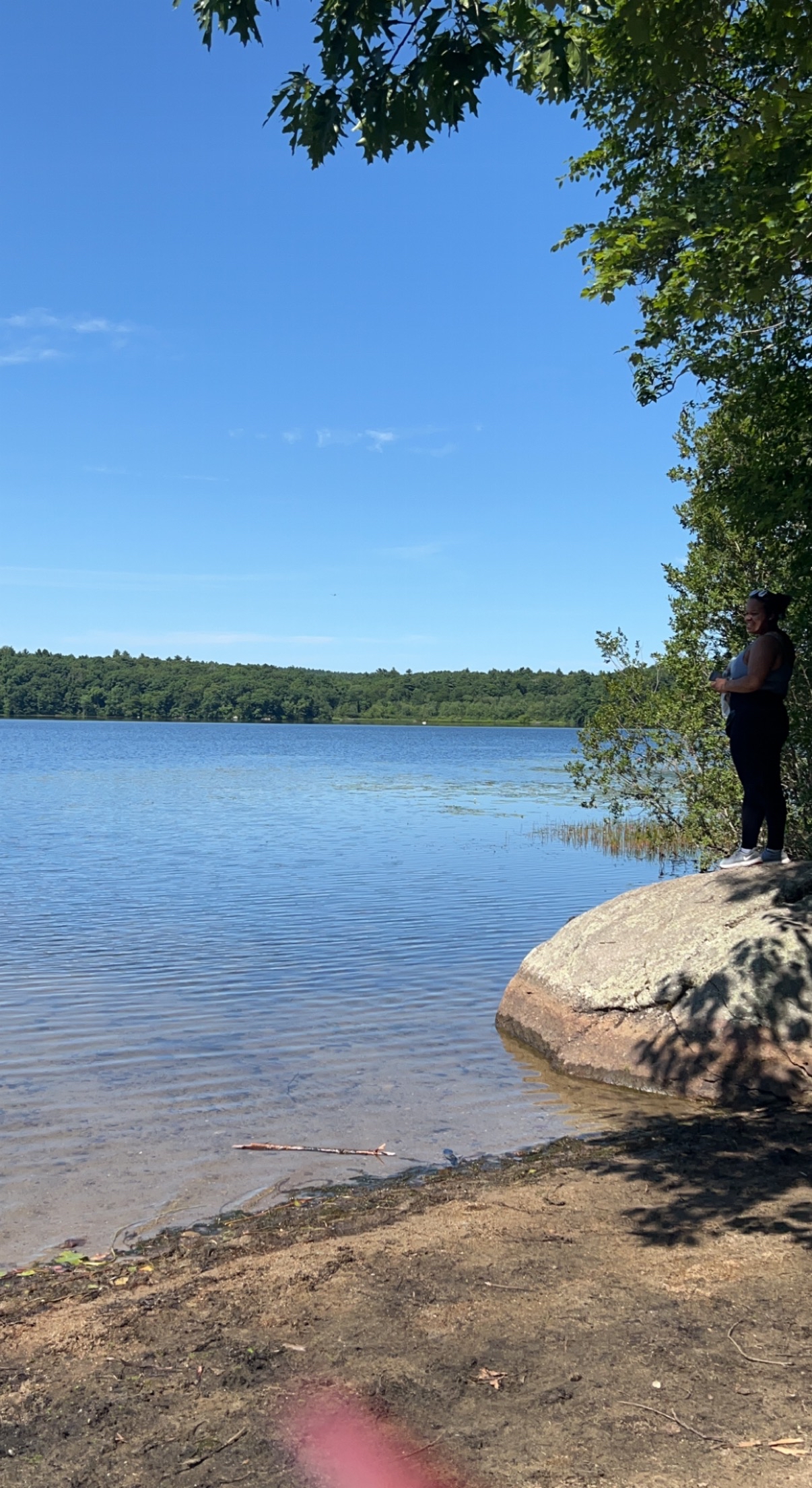Hike the Ponkapoag Pond Trail