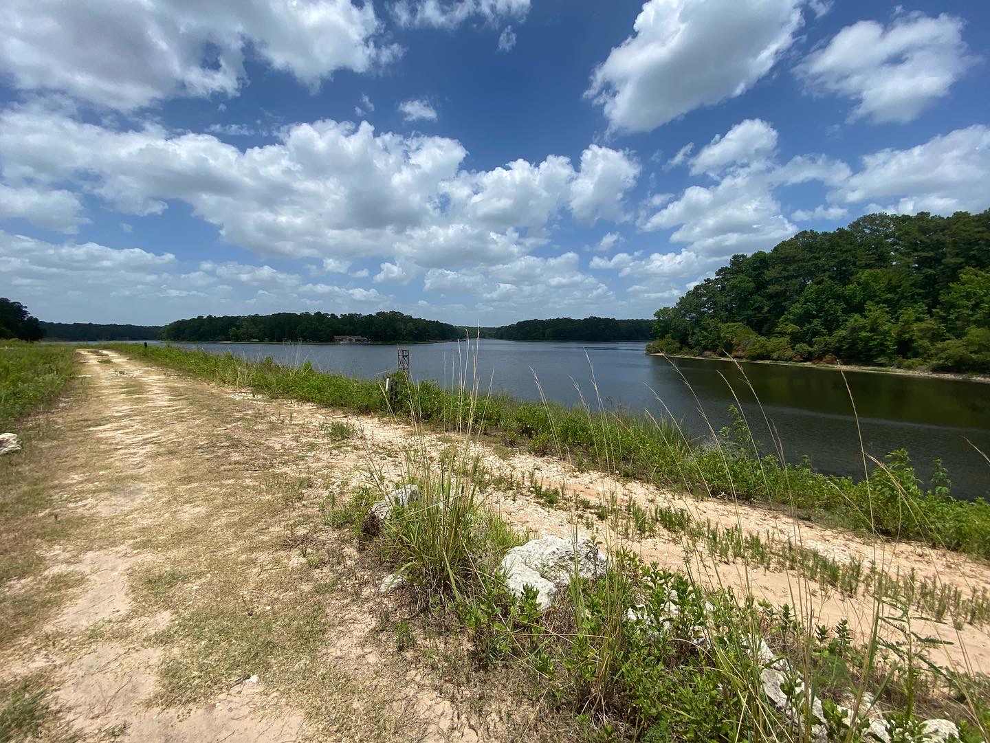 Chinquapin Loop Trail