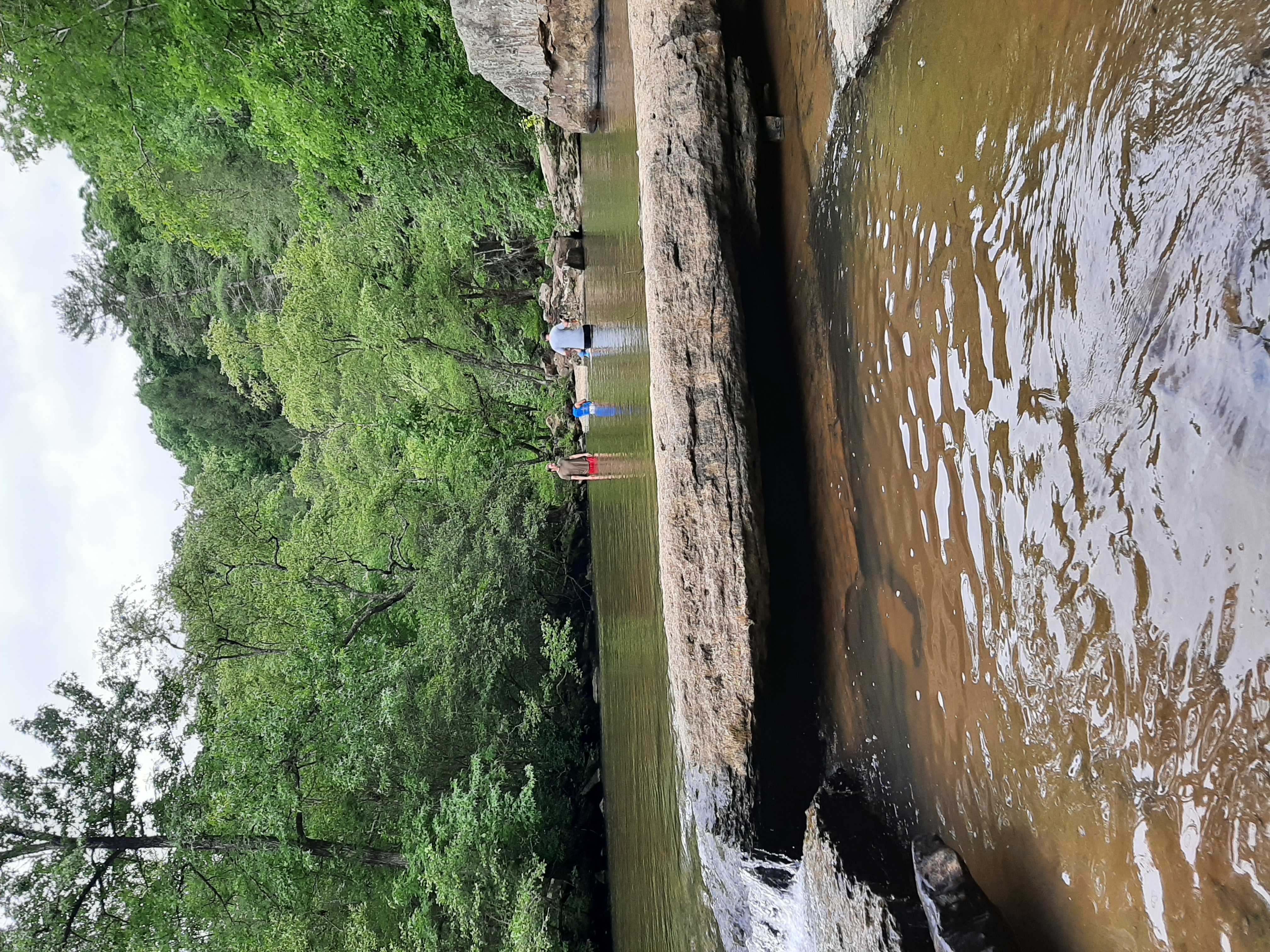 Photo of Potter's Falls