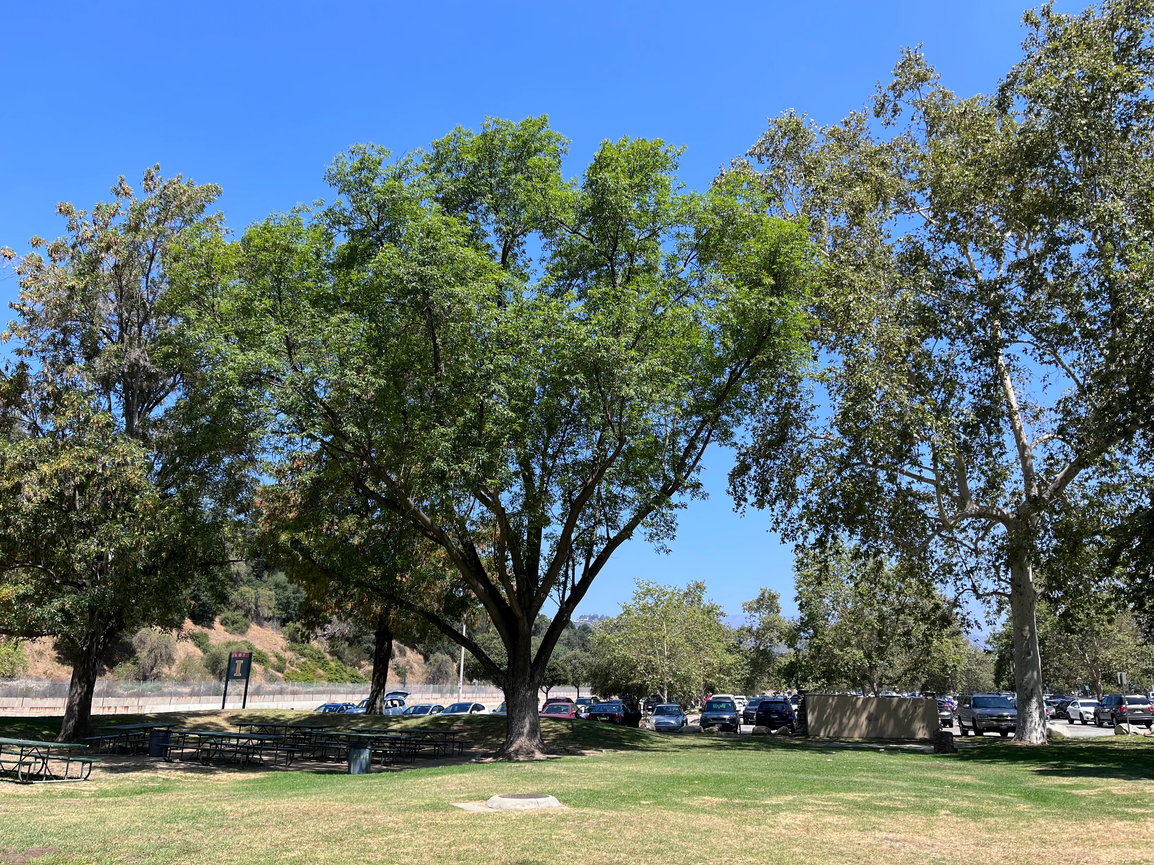 Arroyo Terrace Trail