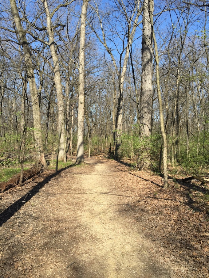 Black Oak Trail at Little Red Schoolhouse Nature Center