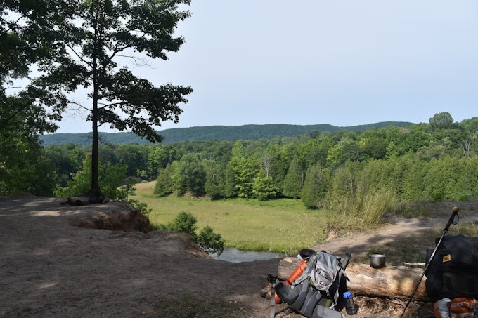 Manistee River Trail