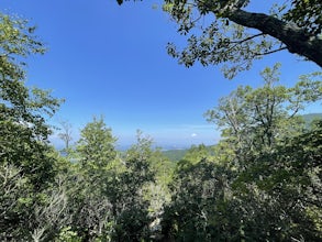 Kaylor's Knob Trail