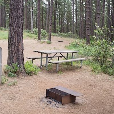 Brooks Memorial State Park Campground