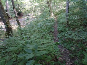 Hike Cave River Valley Trail