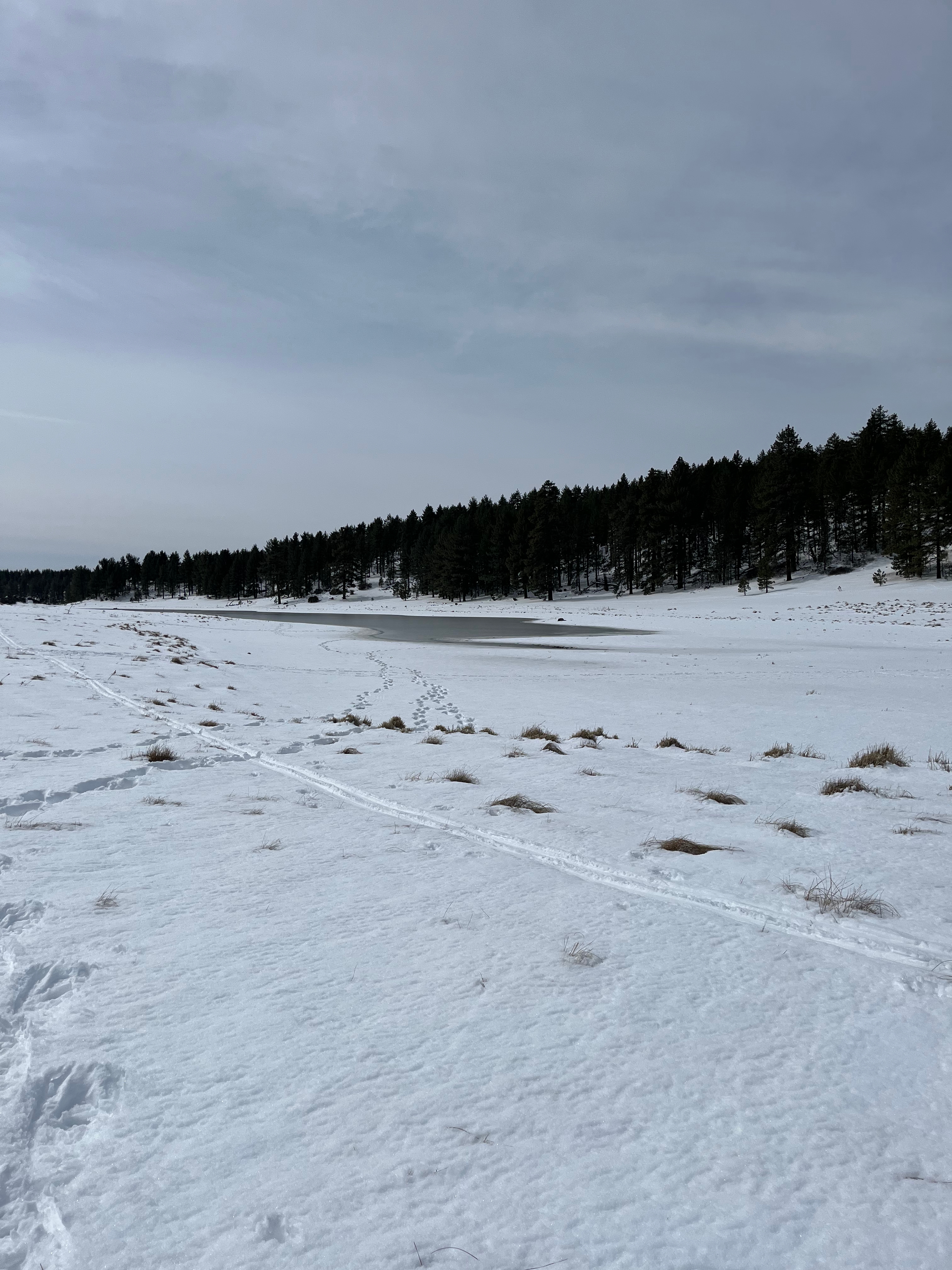 Big Laguna Lake Loop
