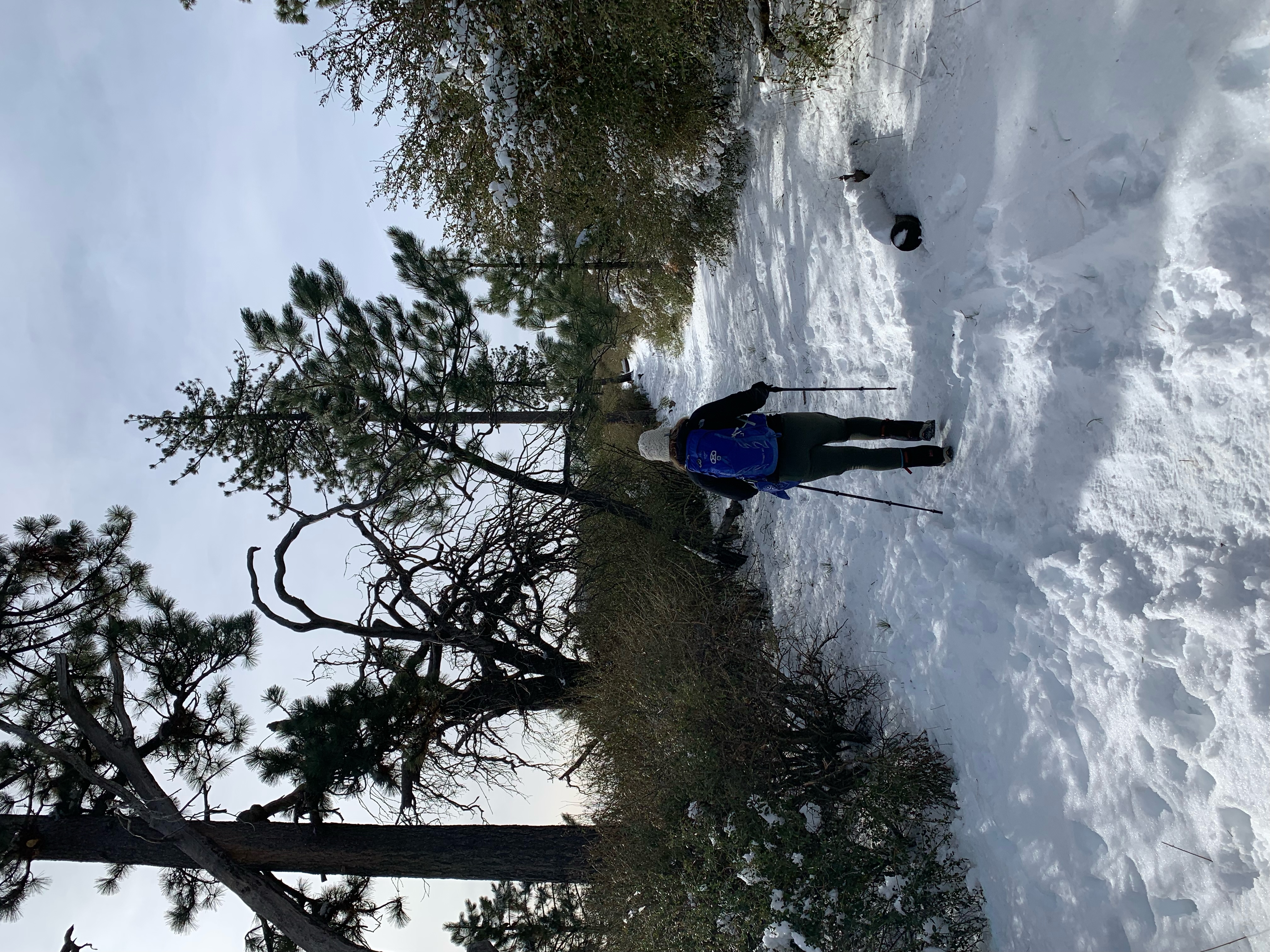Big Laguna Lake Loop