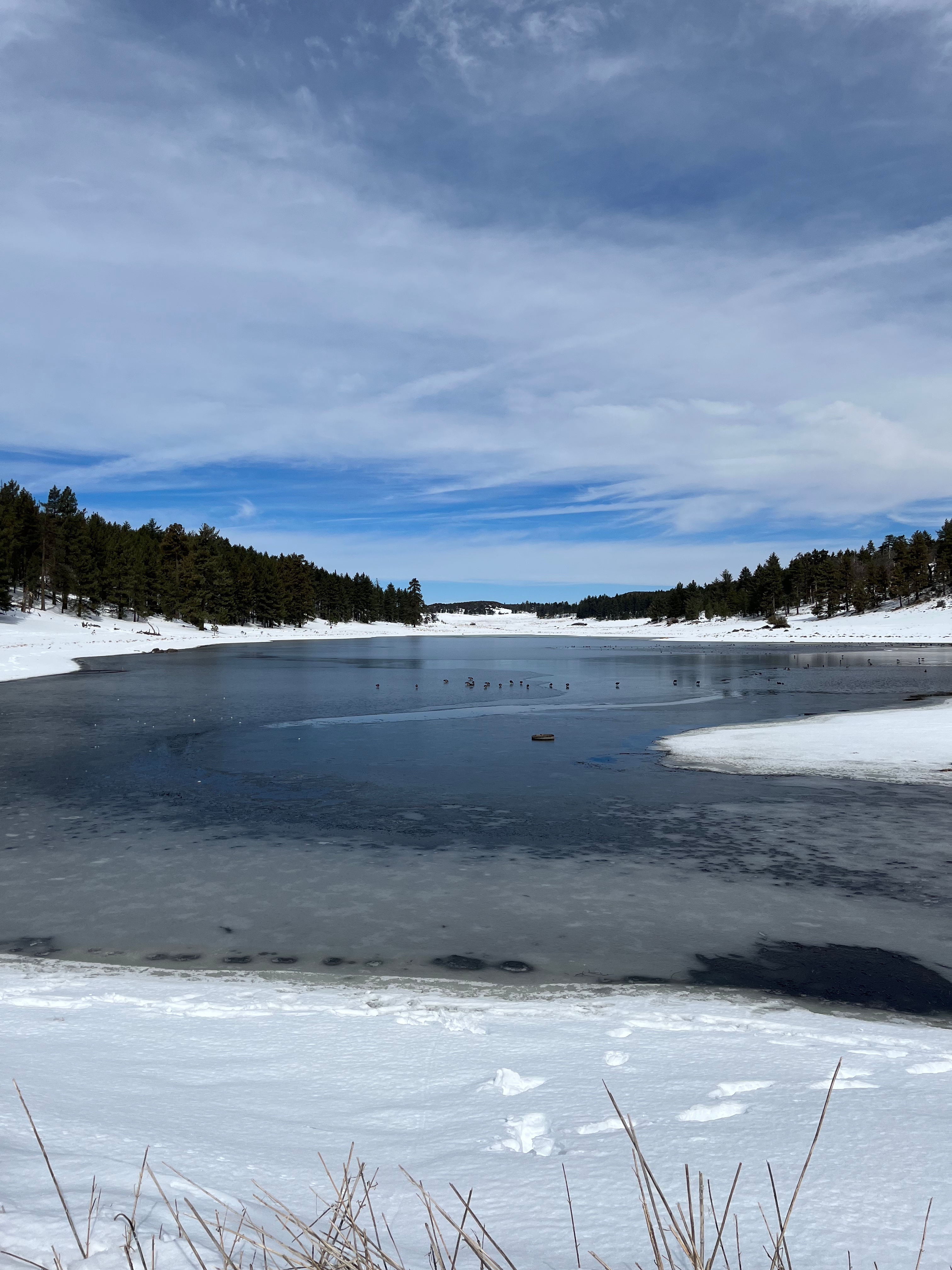 Big Laguna Lake Loop