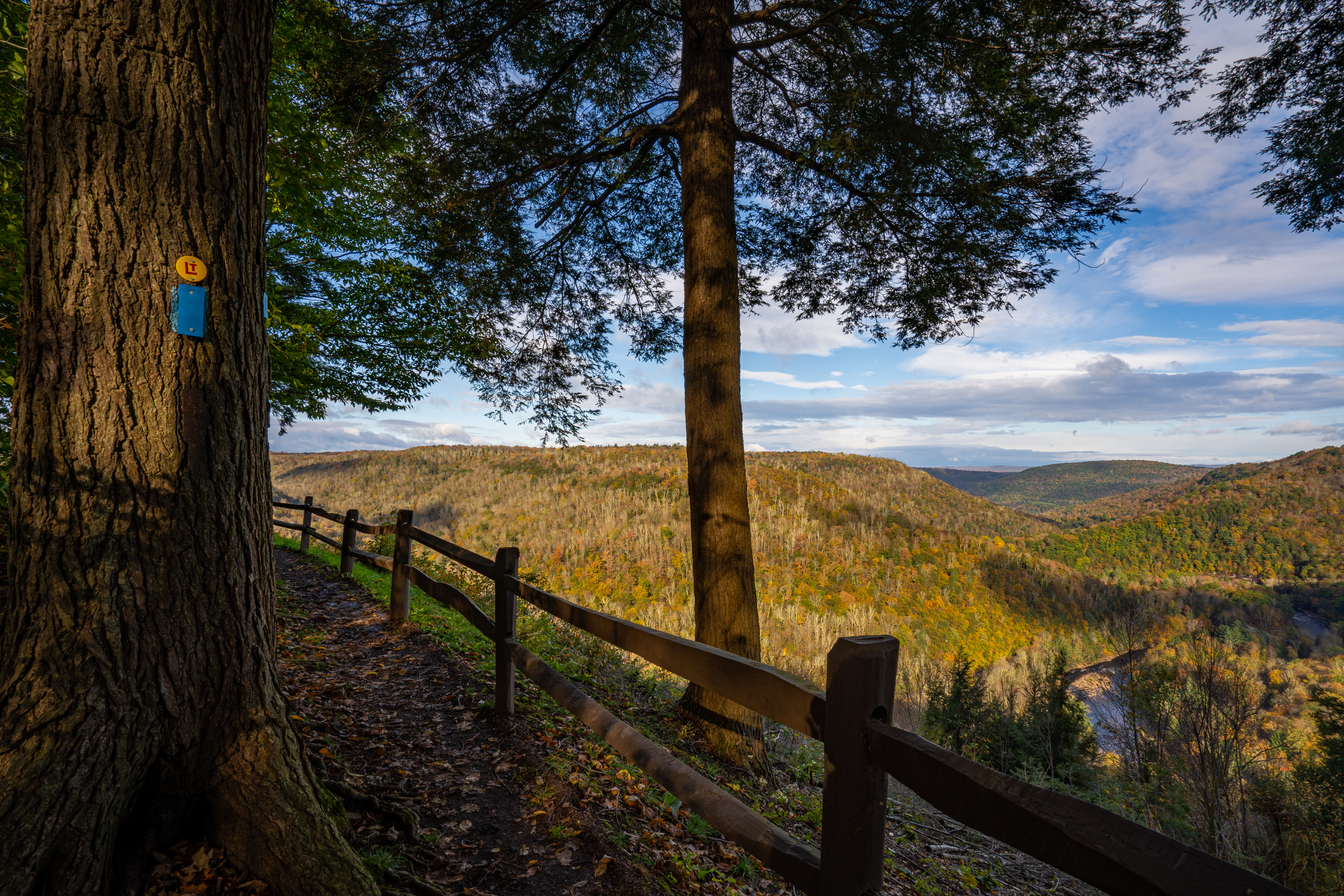 Photograph The Loyalsock Canyon Vista