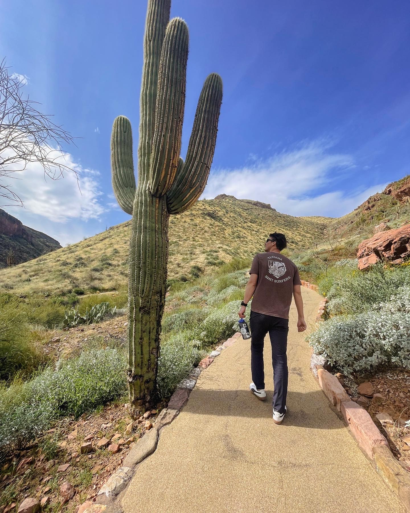 Visit Tonto National Monument