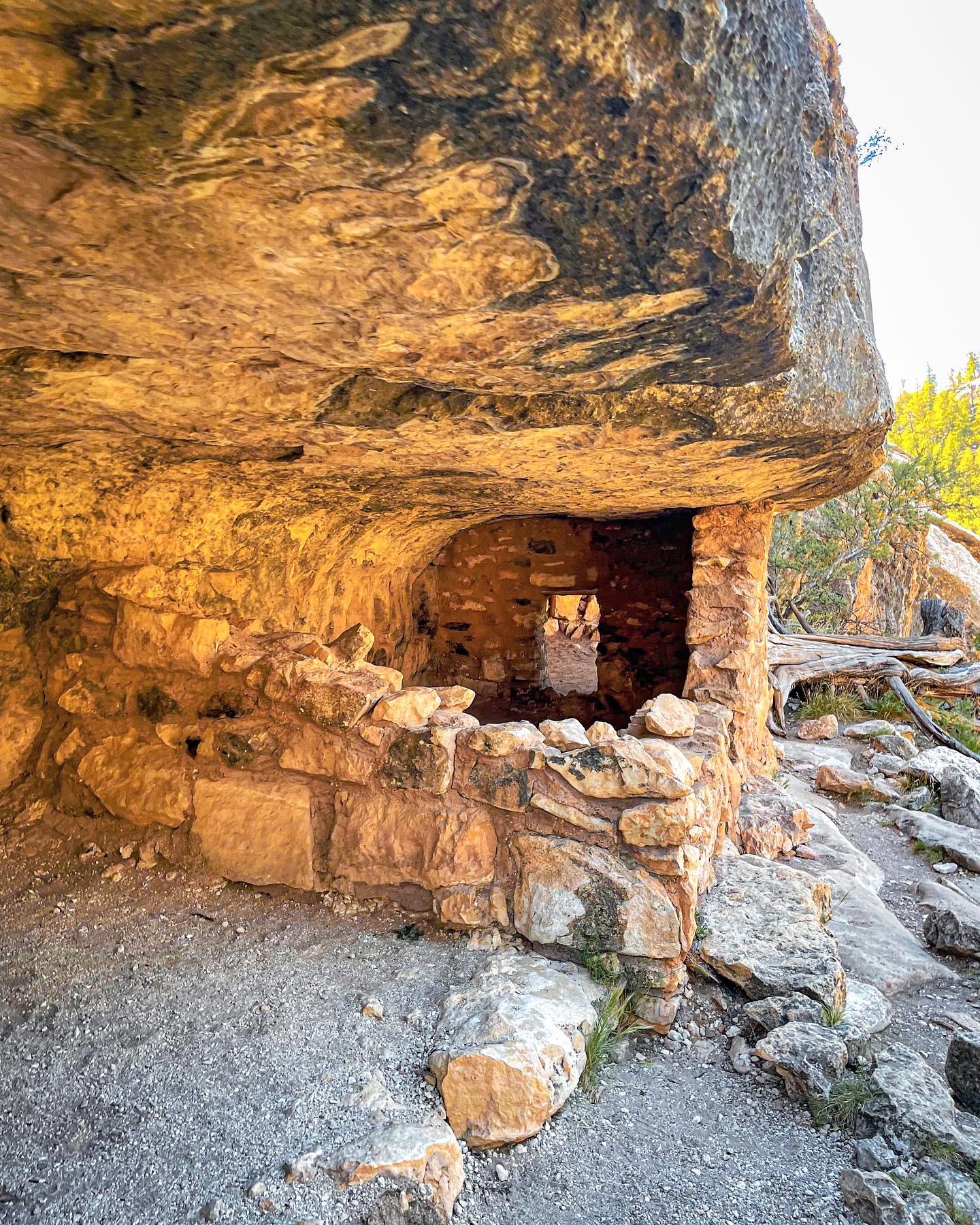 Hike the Island Trail, Walnut Canyon