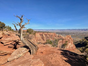 Alcove Nature Trail