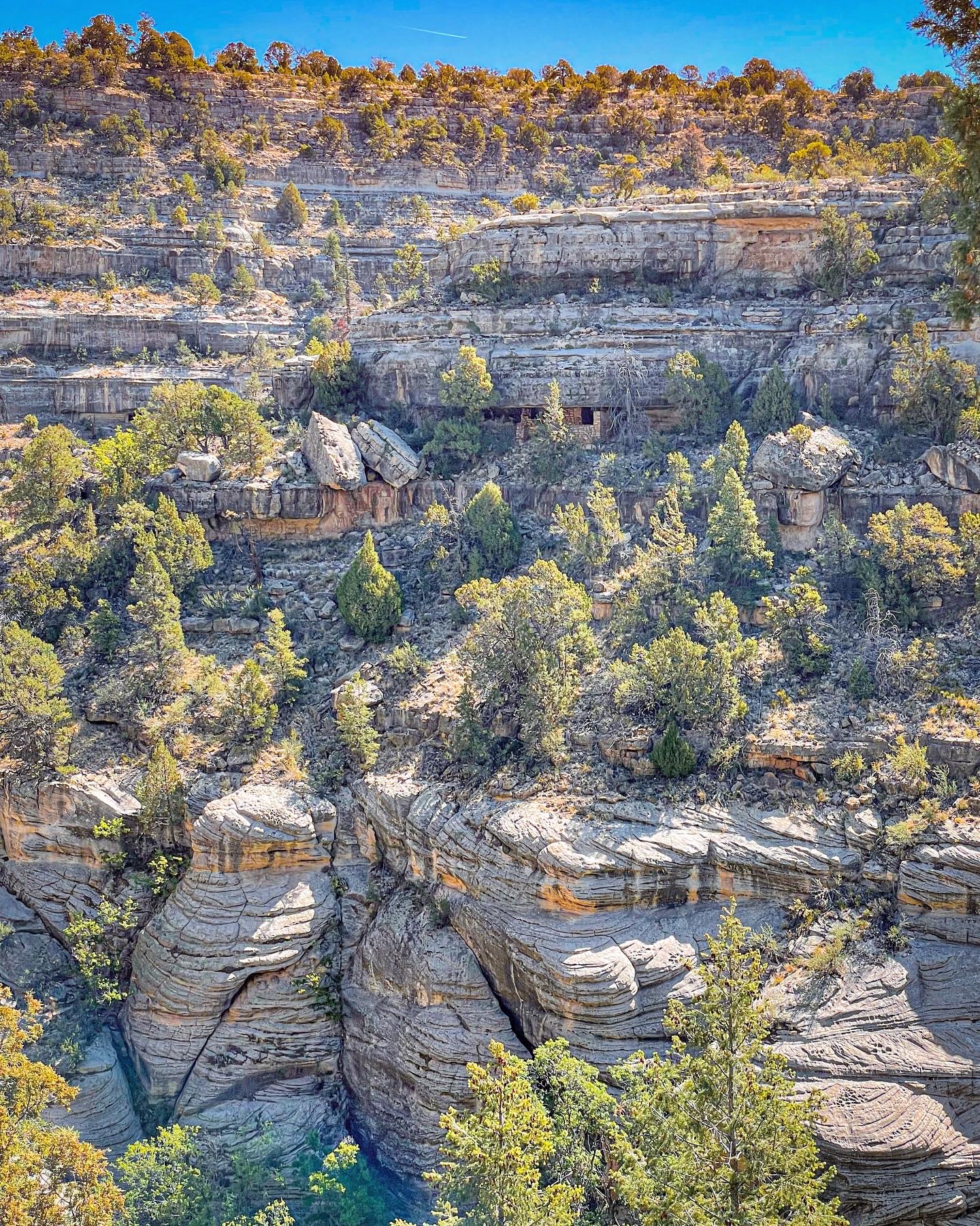 Hike the Island Trail, Walnut Canyon