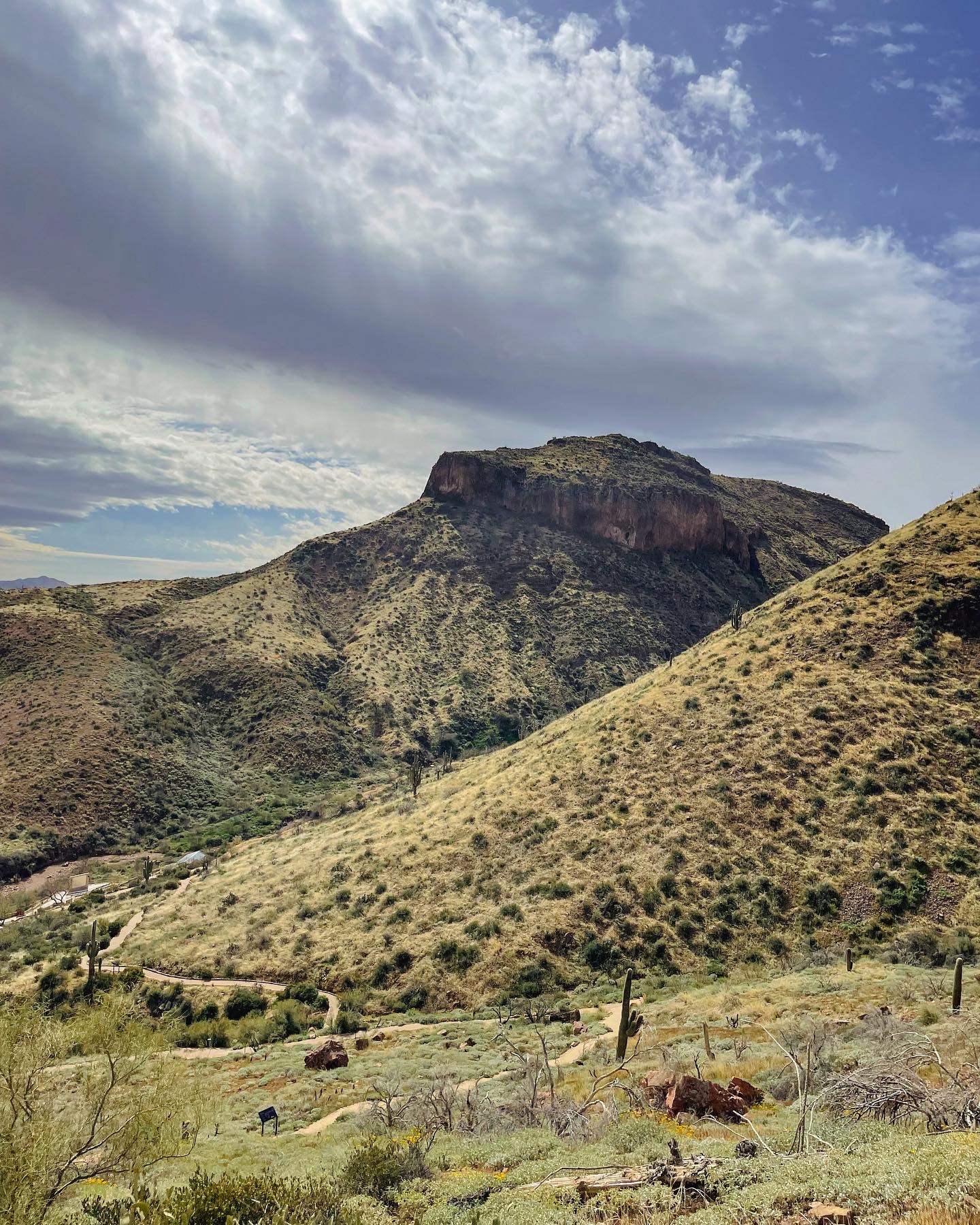 Visit Tonto National Monument