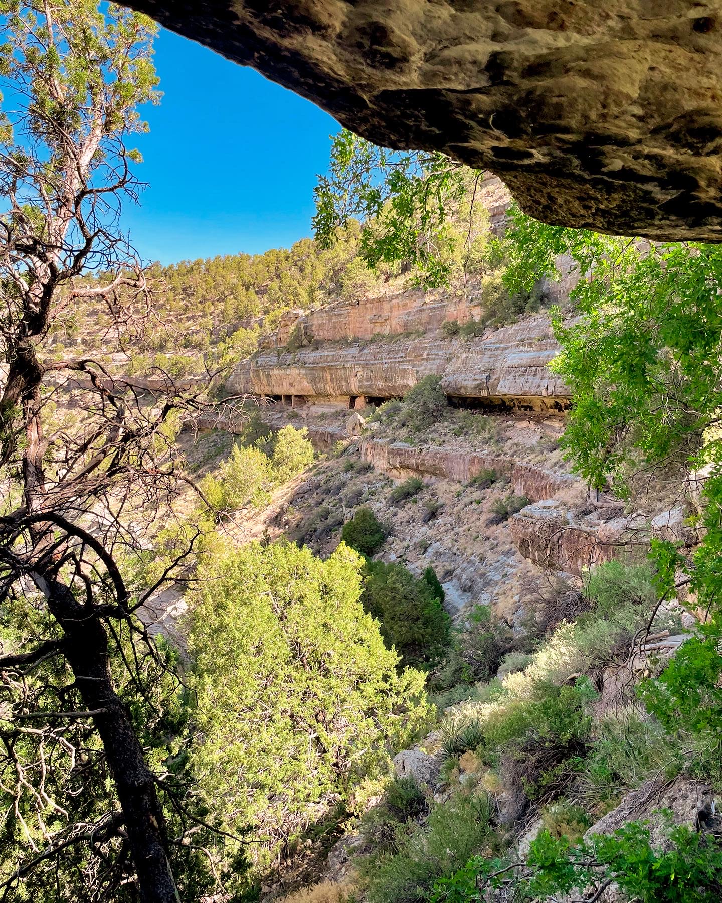 Hike the Island Trail, Walnut Canyon