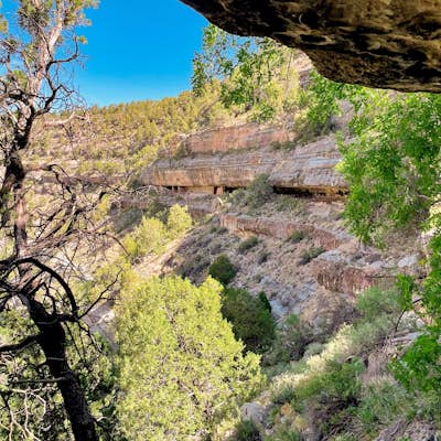 Hike the Island Trail, Walnut Canyon