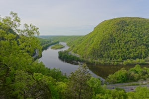 Sunfish Pond via Red Dot, Tammany Fire Road, Turquoise and Dunnfield Creek Trail