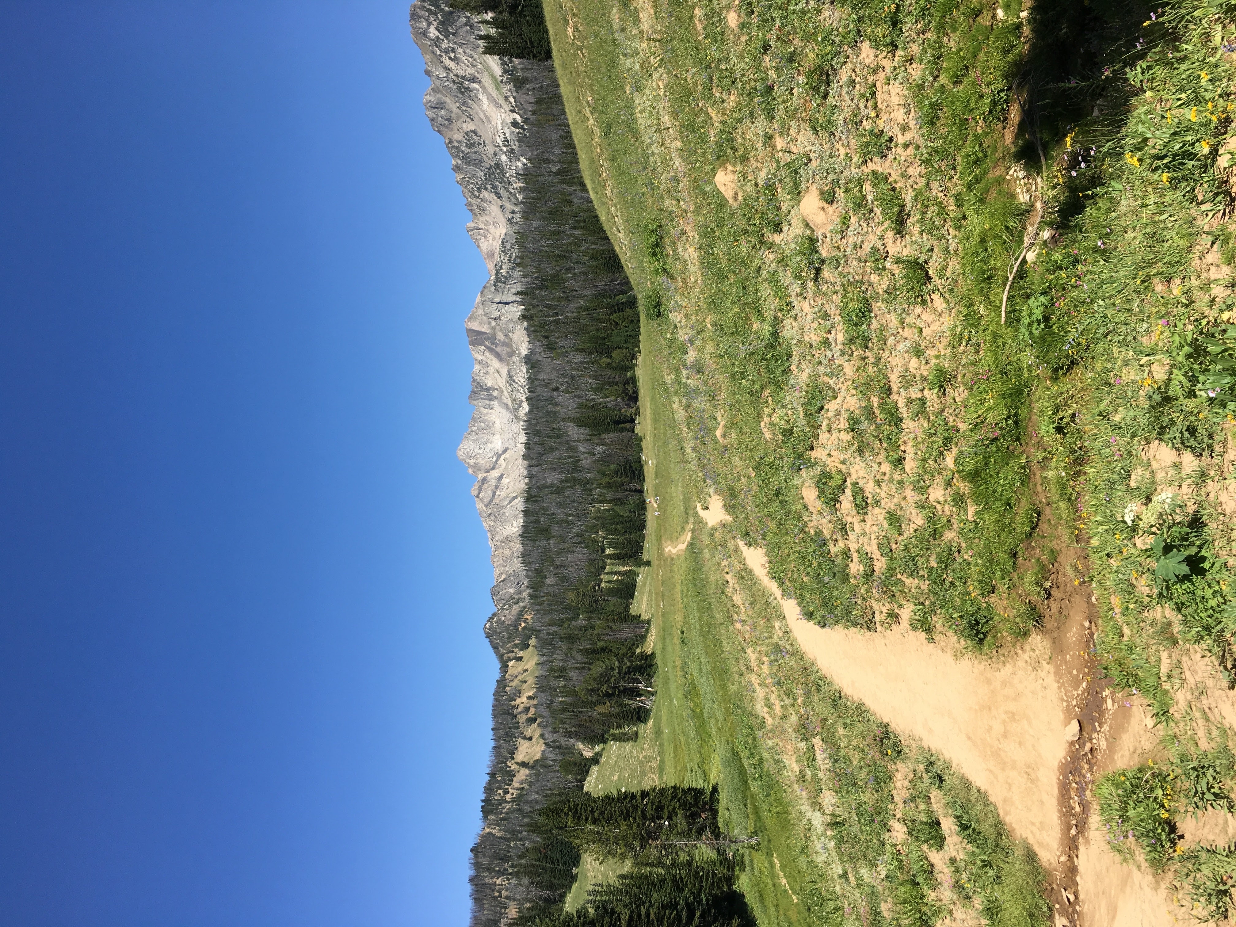 Beehive Basin Trail No. 40