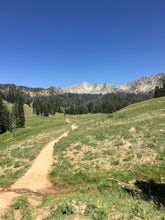 Beehive Basin Trail No. 40