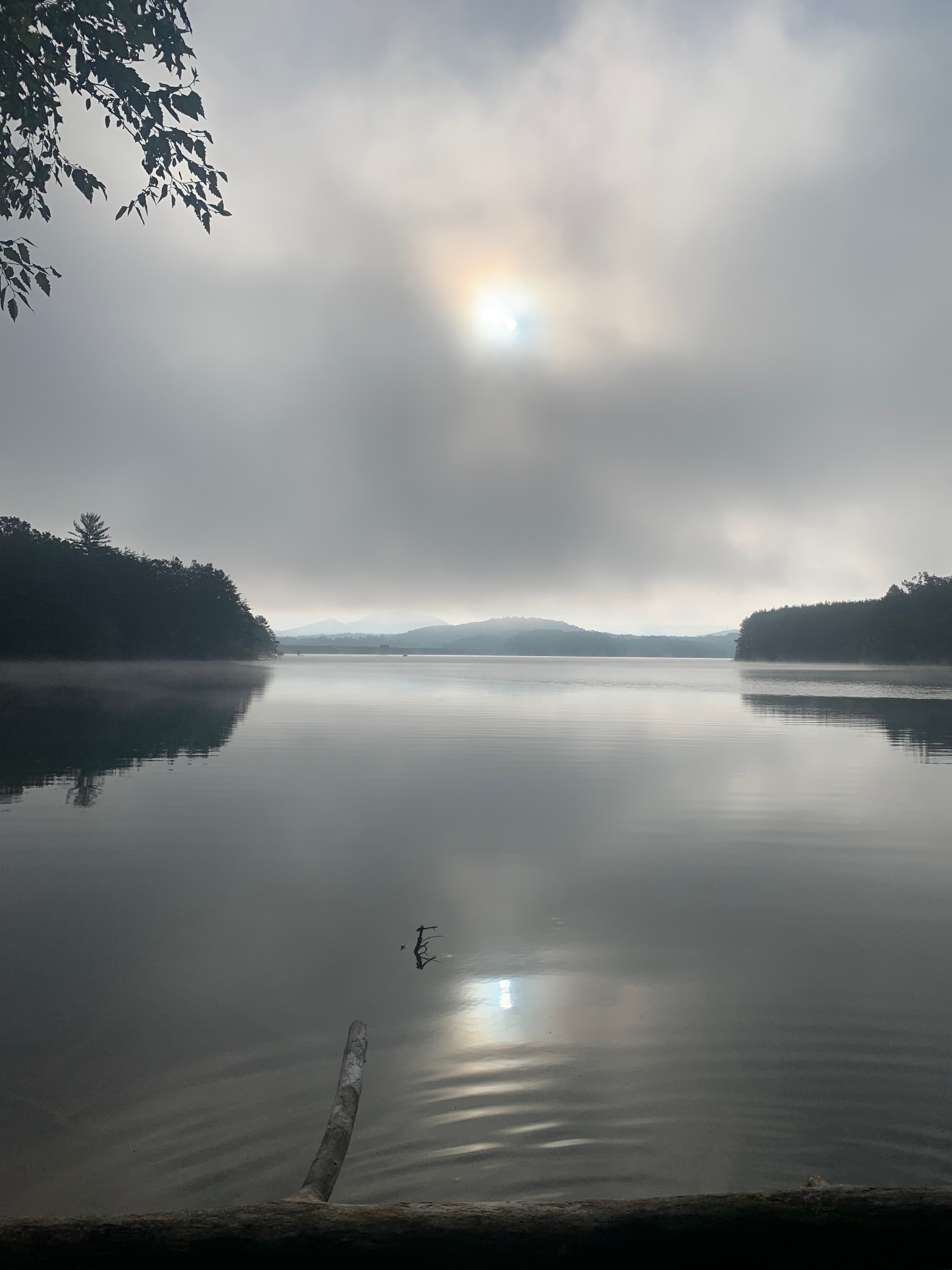 Nottely Reservoir Trail