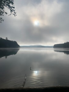 Nottely Reservoir Trail