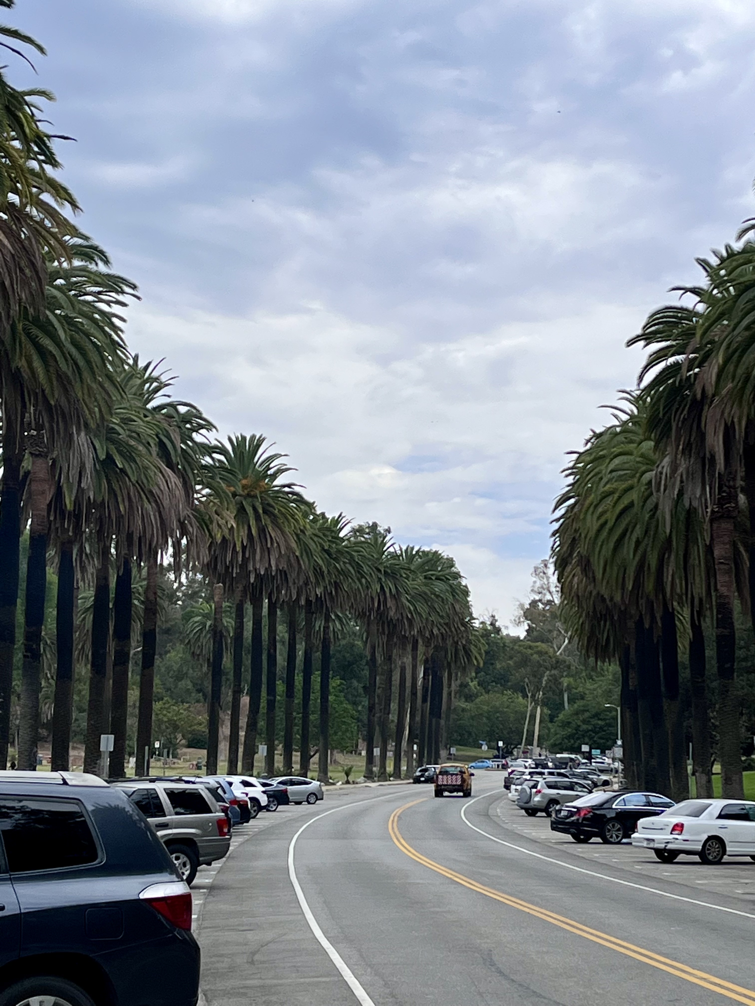 Elysian Park