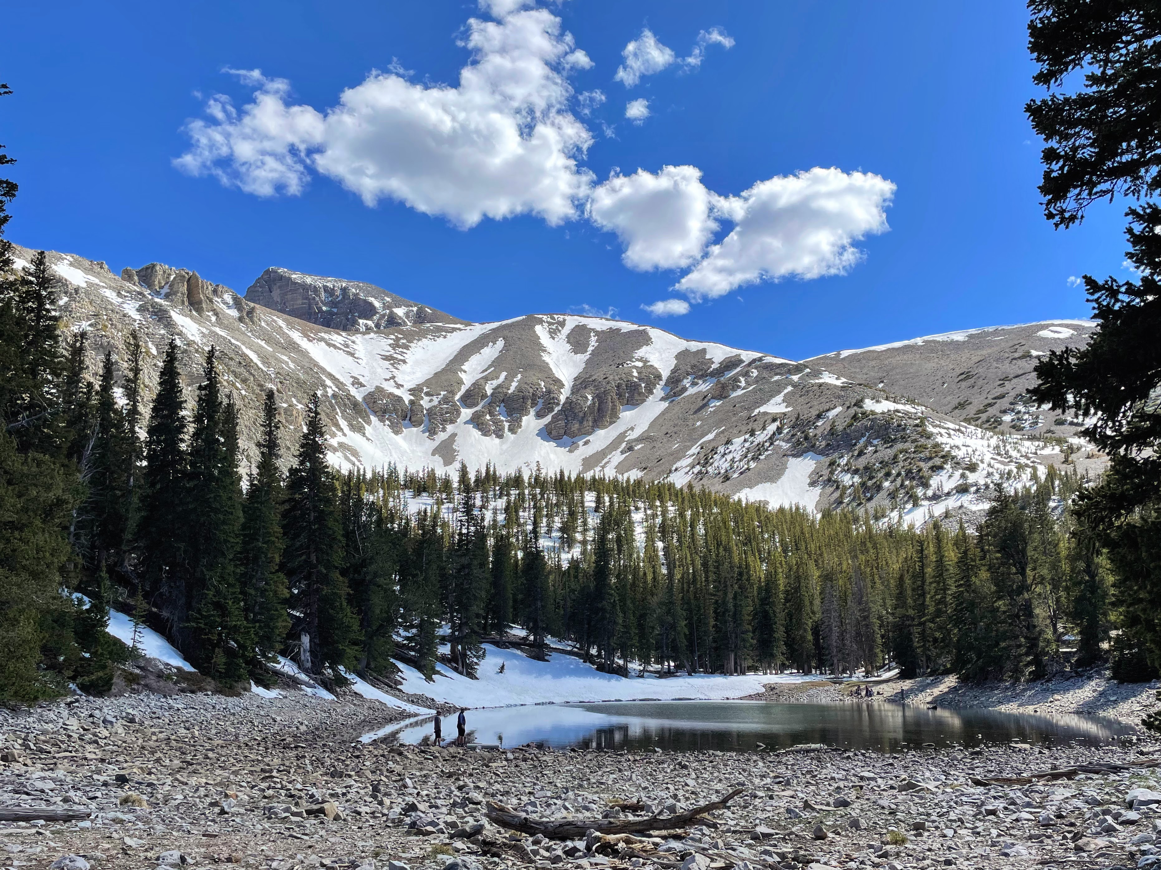 Teresa Lake