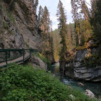 Hike to the Johnston Canyon Cave