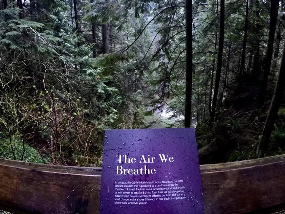 Capilano Suspension Bridge