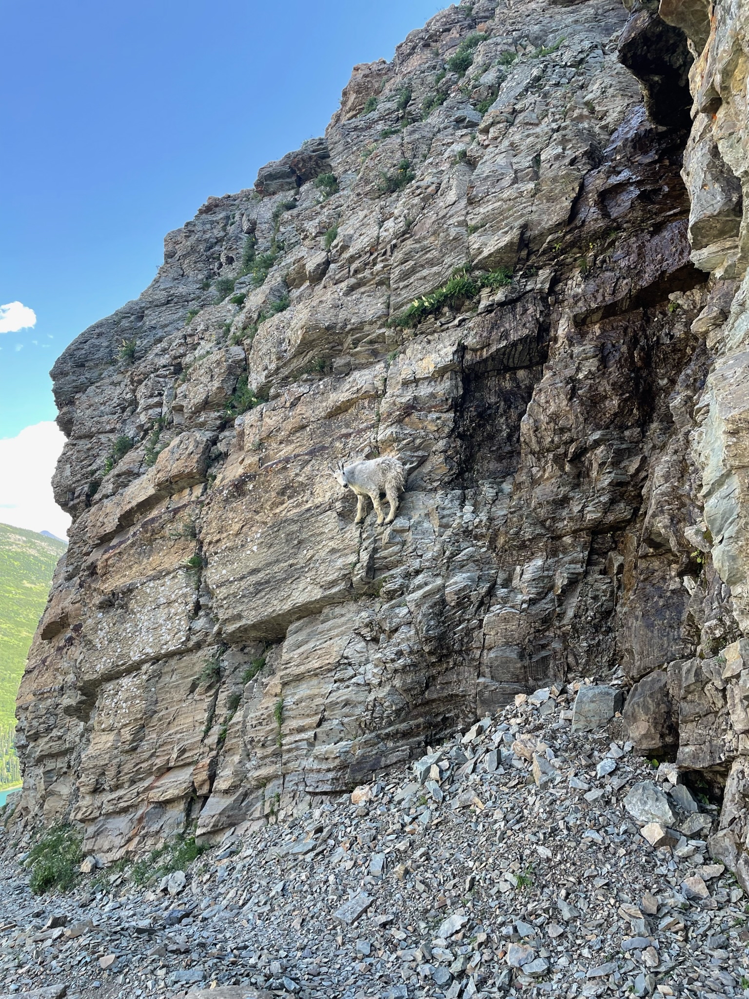 Gunsight Pass to Gunsight Lake Campsite