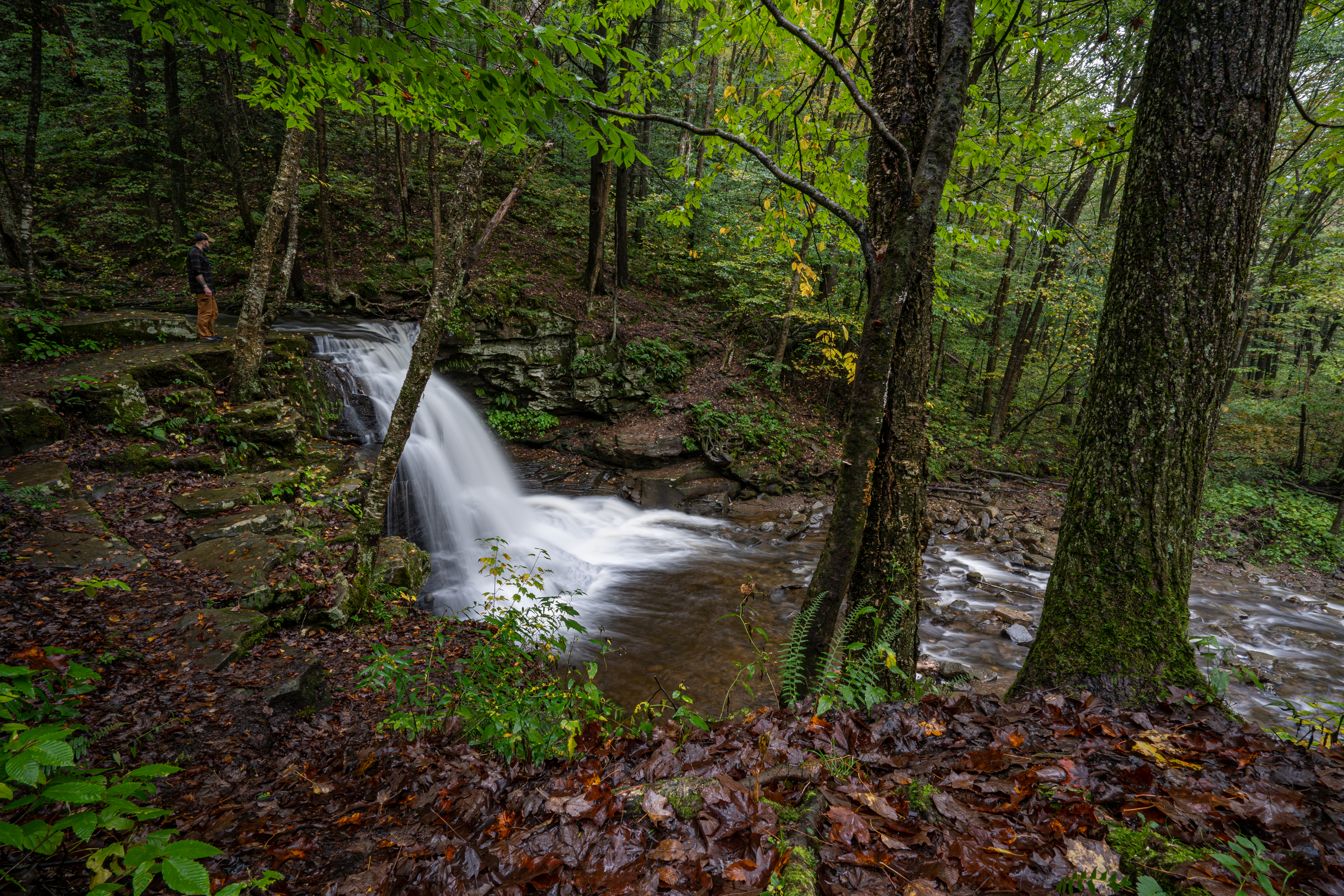 Dry Run Falls in the Loyalsock State Forest