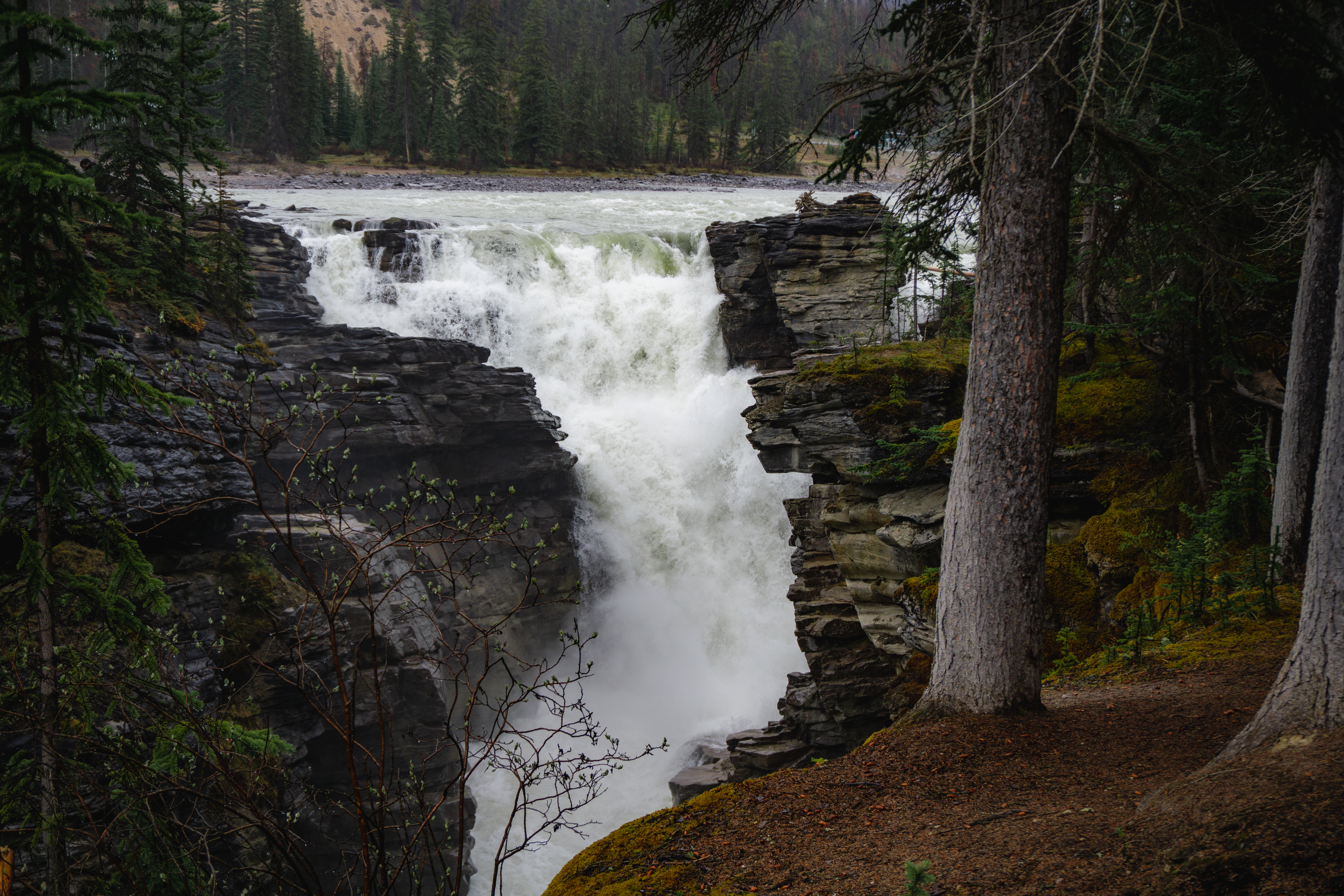 Athabasca Falls