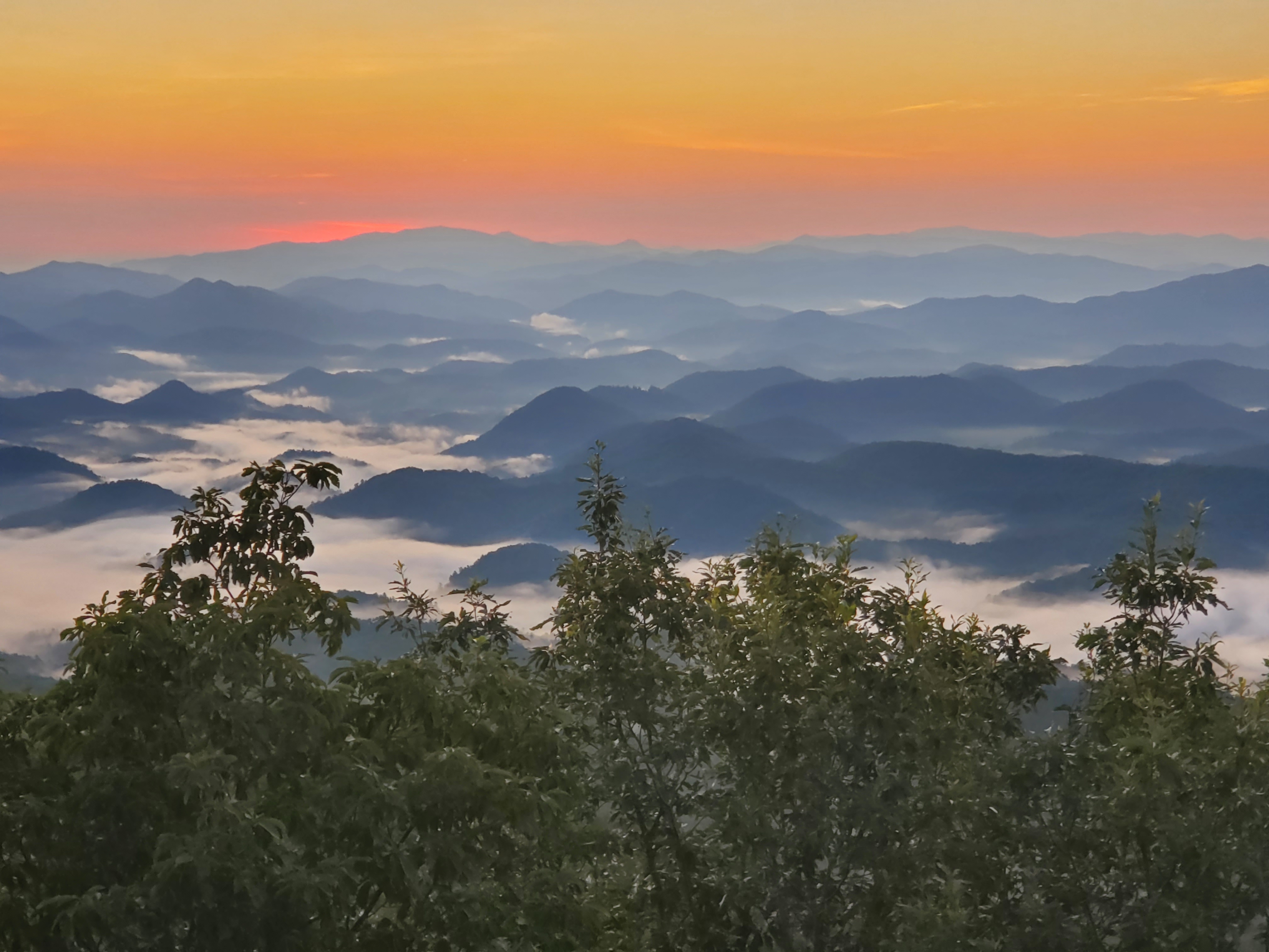 Explore Halls Top Fire Tower