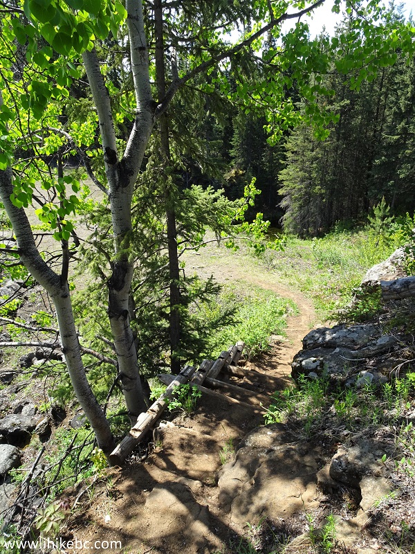 Cheslatta Falls
