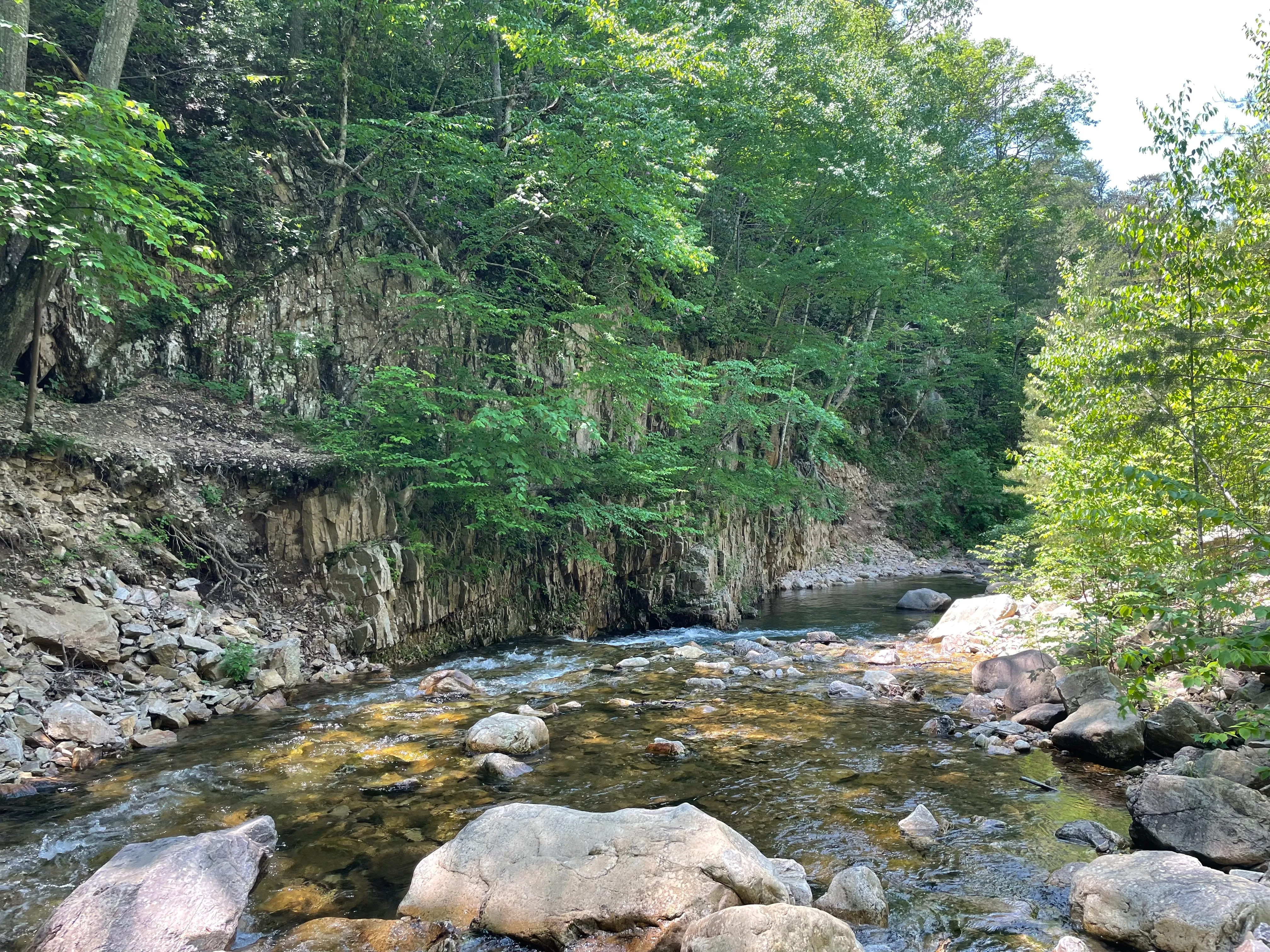Saint Mary's Wilderness