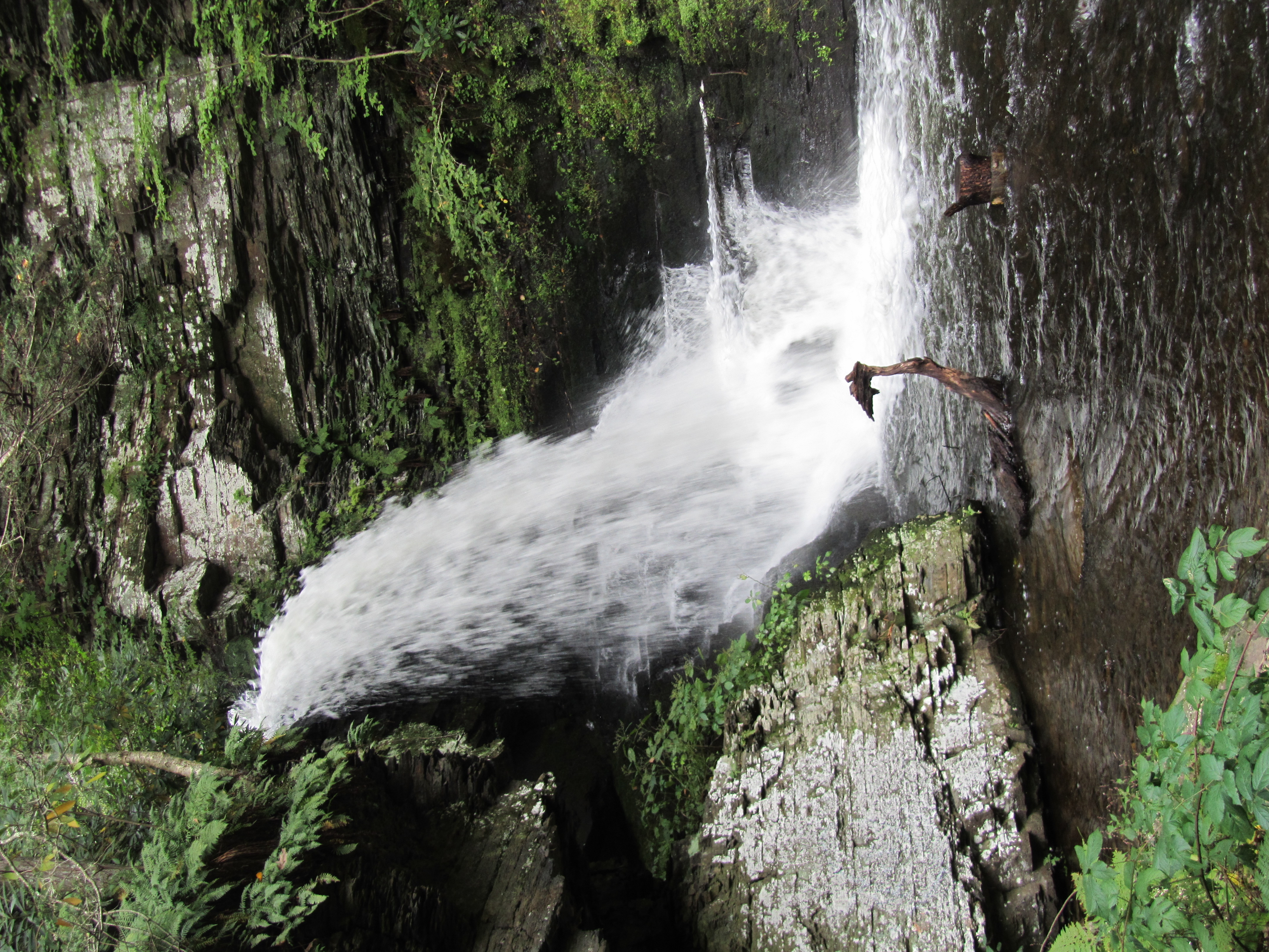 Bushkill Falls Loop