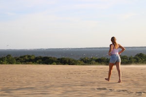 Jockey's Ridge Soundside Nature Trail