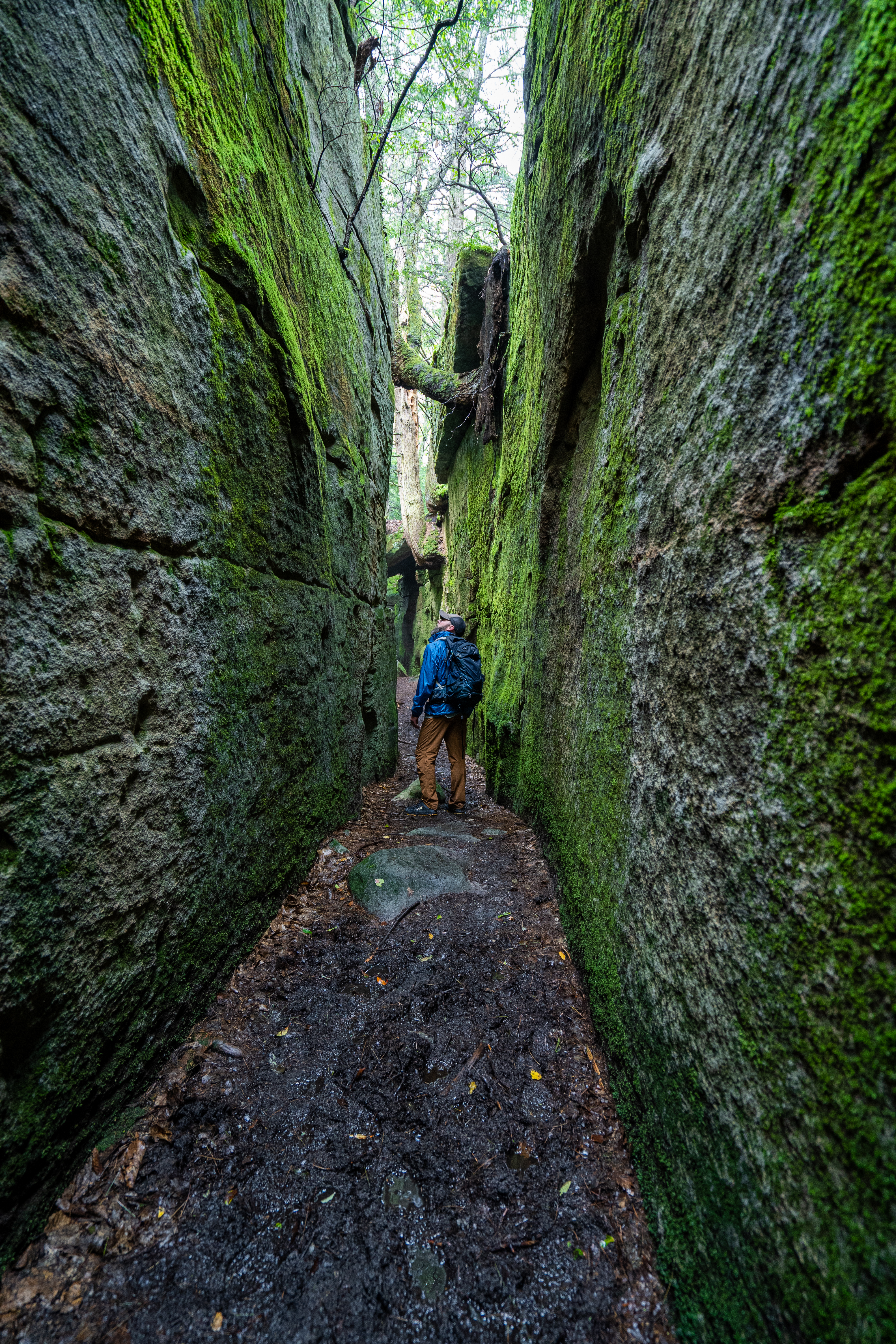 Fred Woods Trail