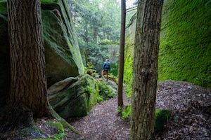 Fred Woods Trail