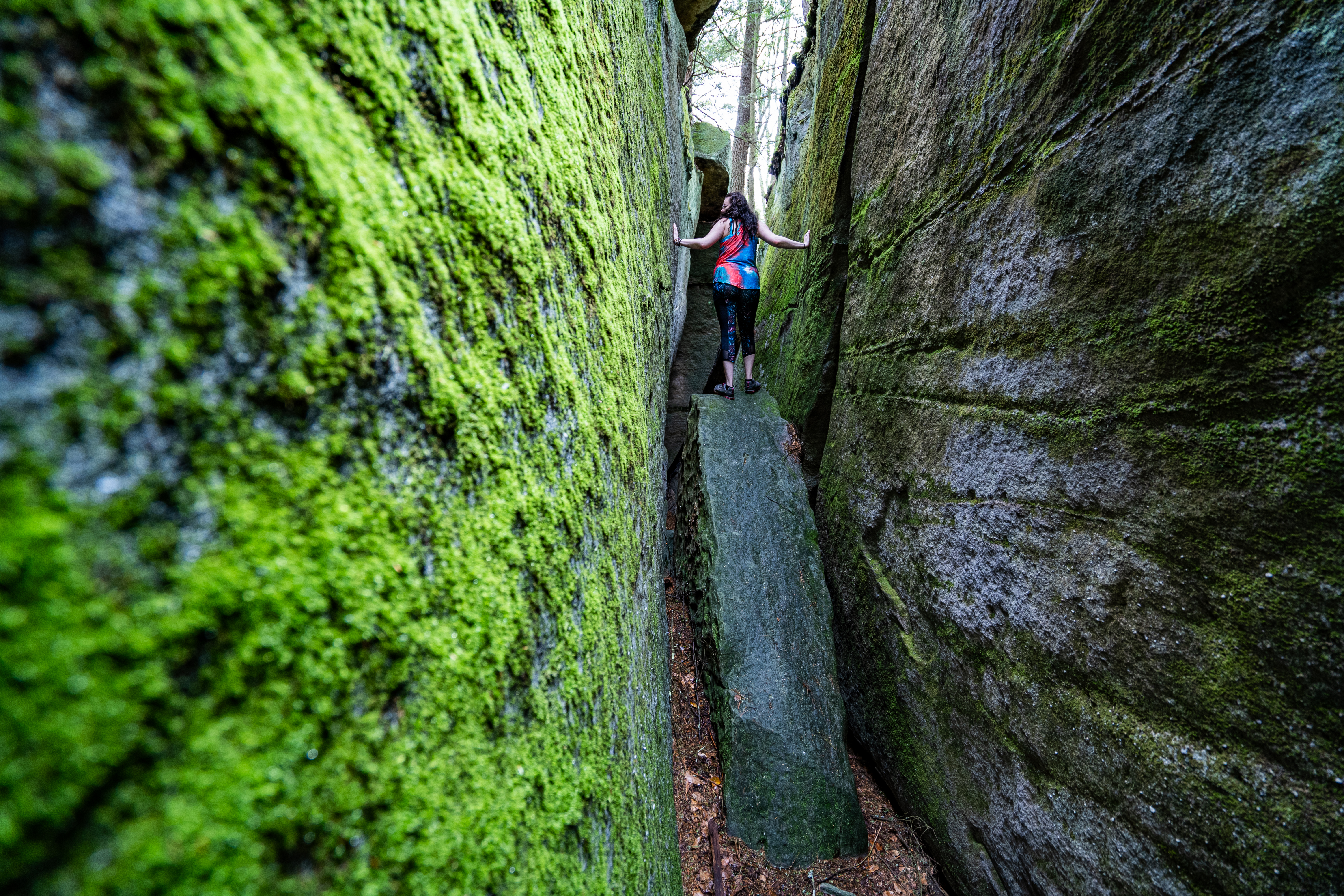 Fred Woods Trail