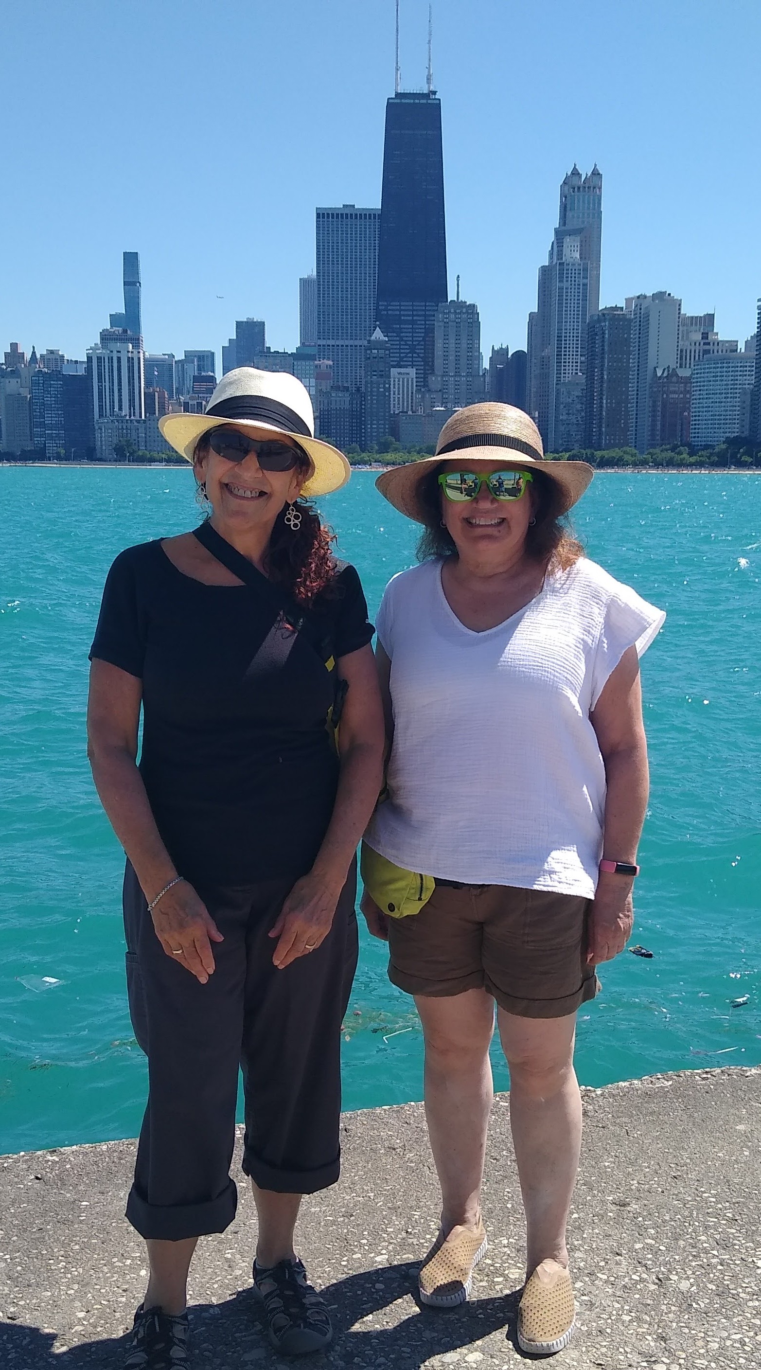Lakeshore Path: North Ave Beach to Navy Pier