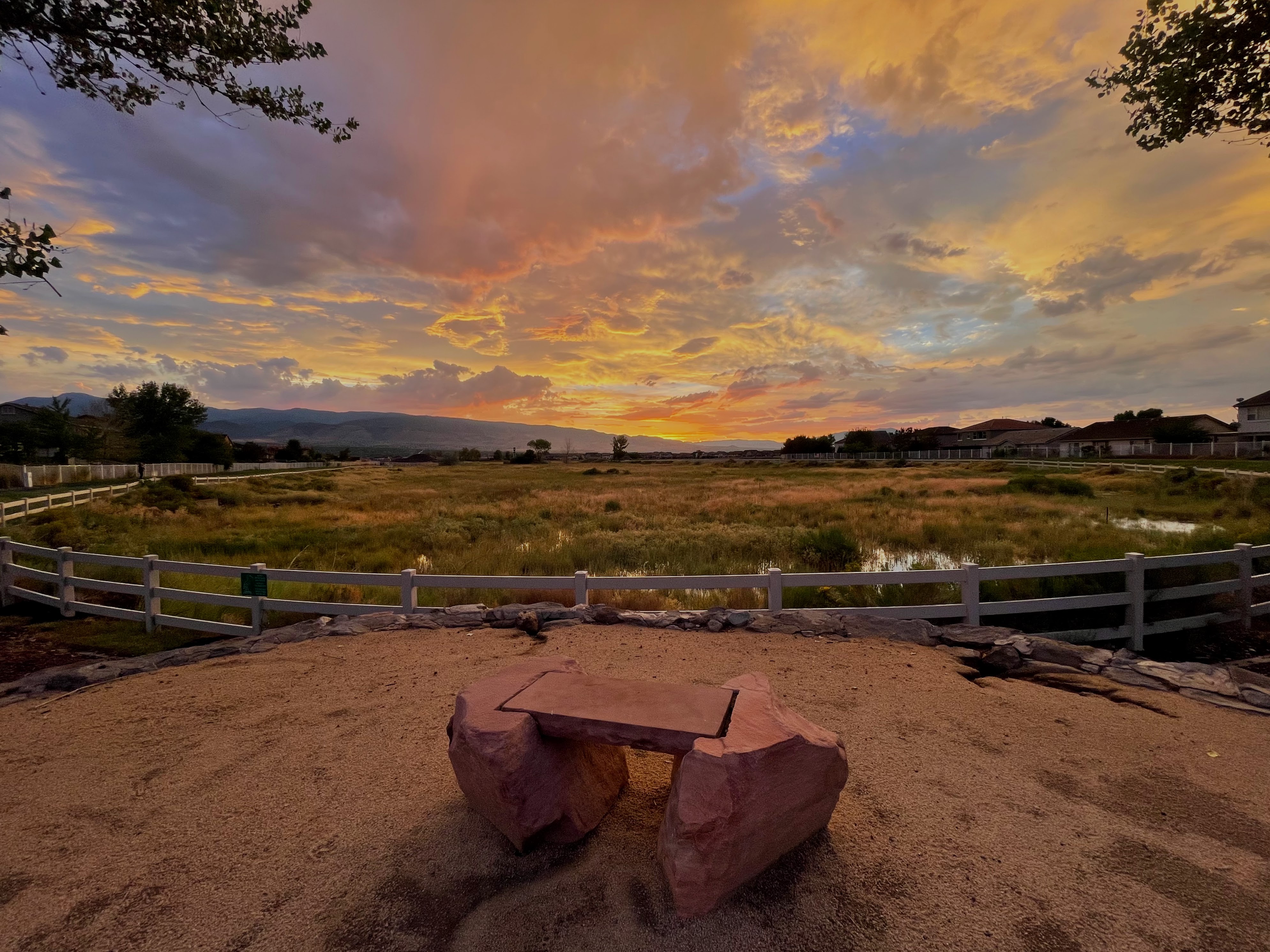 Damonte Ranch Wetland Loop
