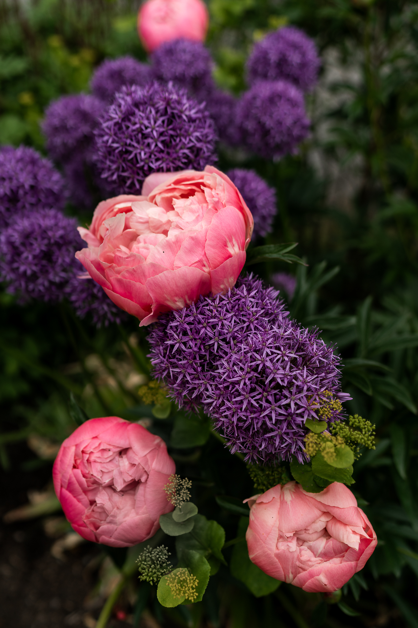Bellevue Botanical Garden