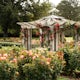 Norfolk Botanical Gardens
